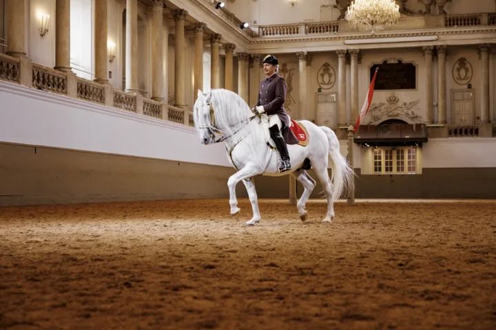 Spanish Riding School – Performance (Category II)